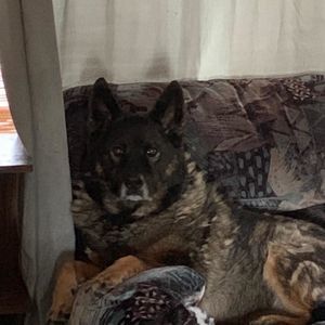 Meet your Posher, Aj